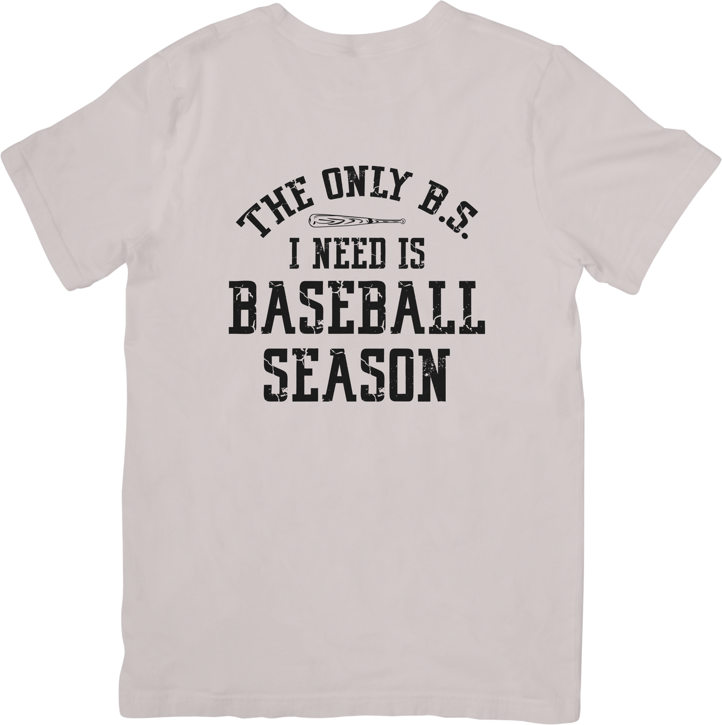 Only BS I Need is Baseball Season