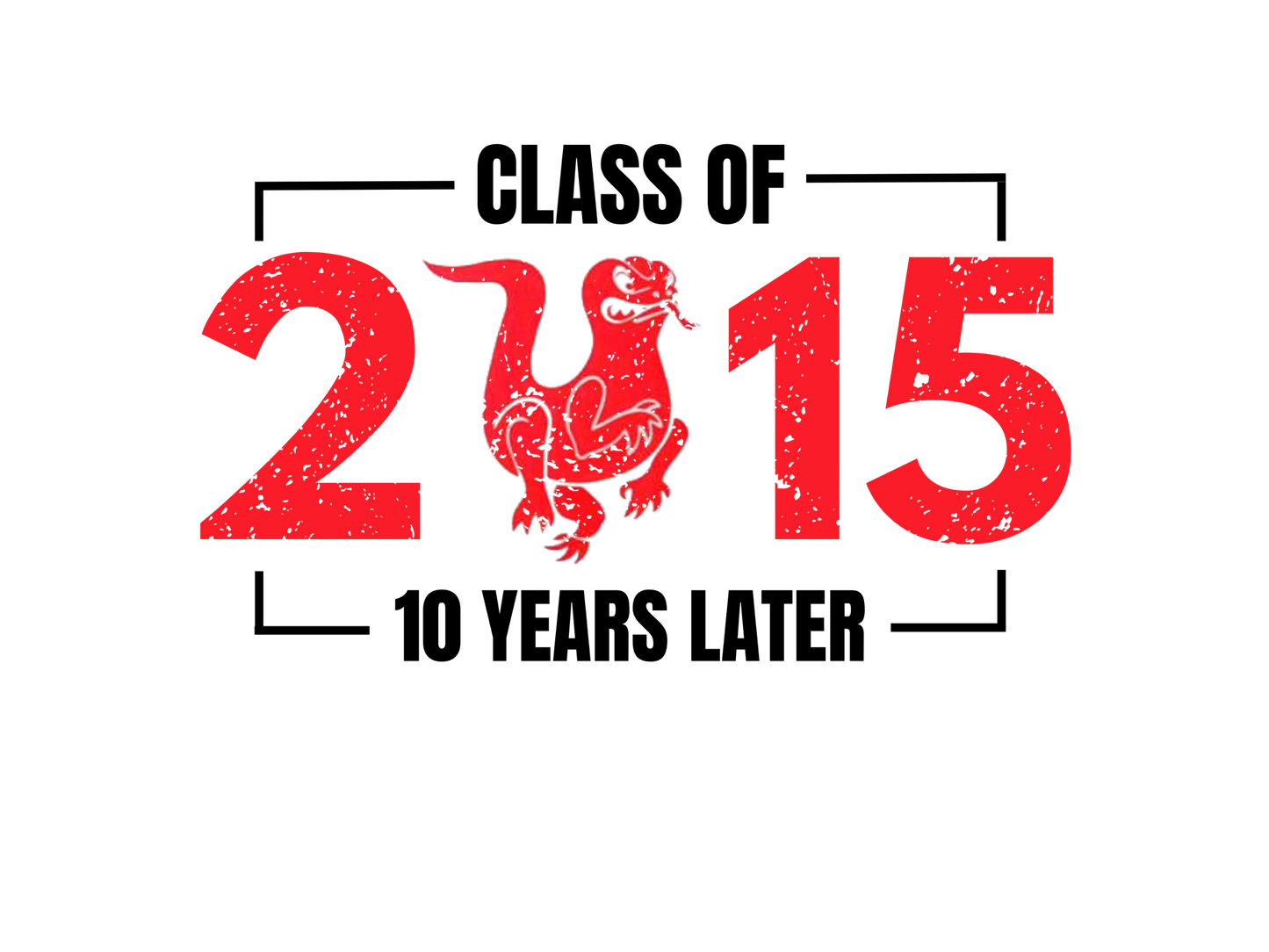 Dardanelle Class of 2015 Reunion T-Shirt